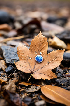 a leaf with a blue pin on it laying on the groundの素材