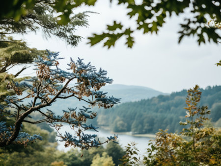 a tree with blue leaves and a lake in the backgroundの素材