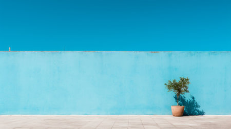 a blue wall with a potted plant in front of itの素材