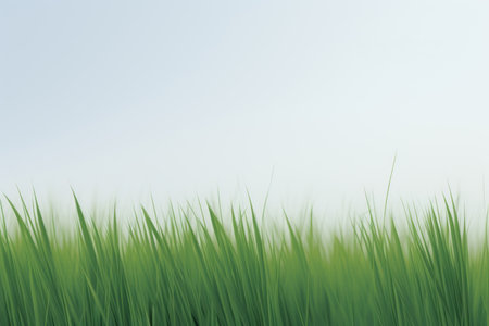 green grass background with a blue sky and white cloudsの素材