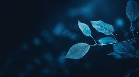 a close up of leaves on a dark backgroundの素材