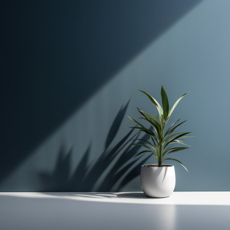 a potted plant in front of a blue wallの素材