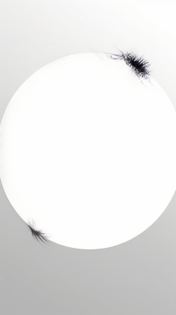 a white circular light with a black hole in the middleの素材