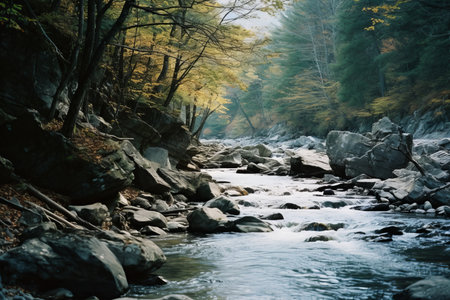 a river running through a forest with rocks and treesの素材