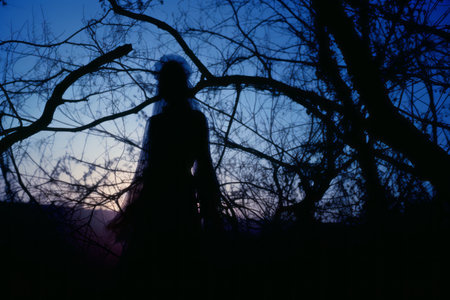 a silhouette of a person standing in front of a treeの素材