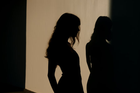 a silhouette of a woman standing in front of a wallの素材