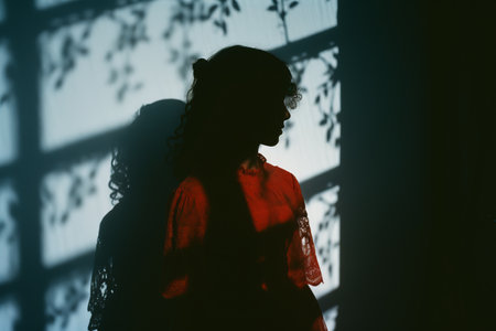 a silhouette of a woman in a red dress standing in front of a windowの素材
