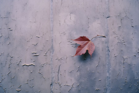 a single red leaf on a wall with peeling paintの素材