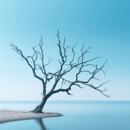 lonely dead tree on the shore of the seaの素材