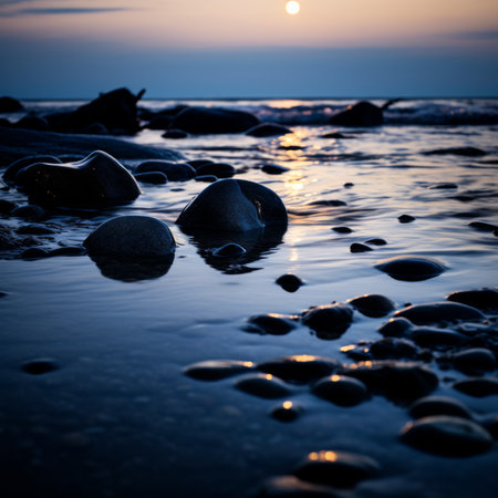 rocks on the beachの素材