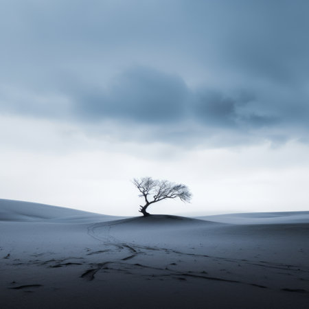 a lone tree in the middle of the desert under a cloudy skyの素材