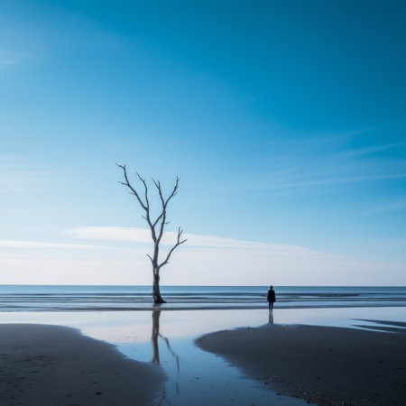 a lone tree on a beach in the middle of the oceanの素材