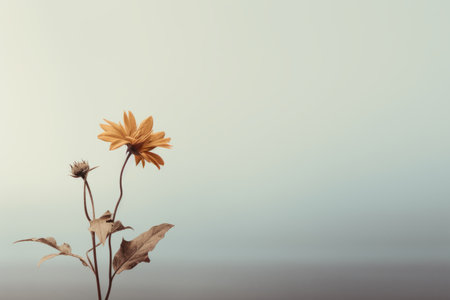 a single yellow flower is sitting on top of a tableの素材