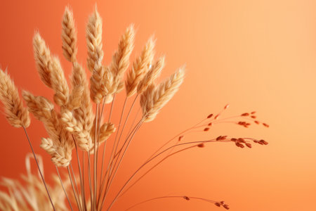 an image of some wheat on an orange backgroundの素材