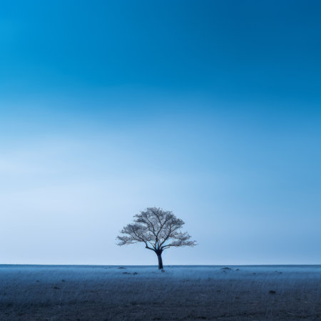 a lone tree in the middle of a fieldの素材