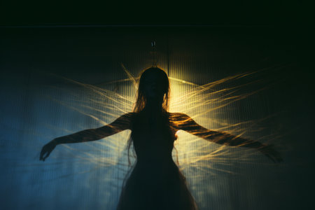 silhouette of a woman in a dress in the darkの素材