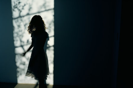 a silhouette of a woman standing in front of a windowの素材