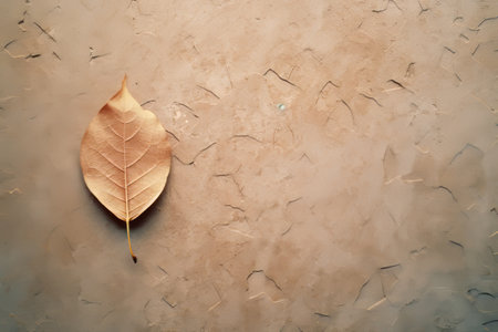 a single leaf on a wall with cracks and peeling paintの素材