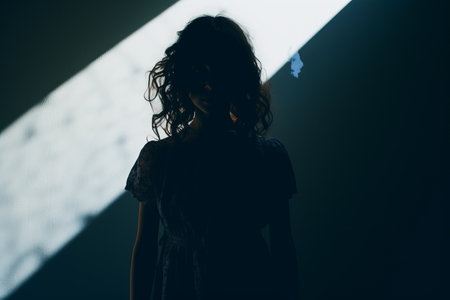a silhouette of a woman standing in front of a wallの素材