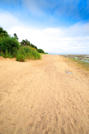 tropical seashore with greens under blue skyの写真素材