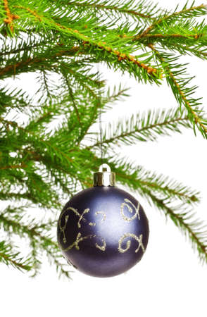 decoration ball on fir branch, white backgroundの写真素材