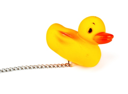 toy duck for bath with chain isolated on whiteの写真素材