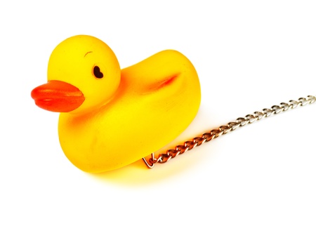 toy duck for bath with chain isolated on whiteの写真素材