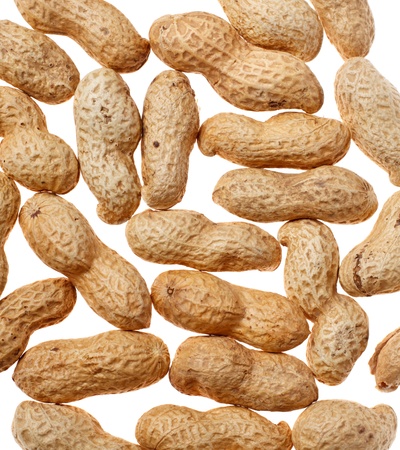 peanuts in shell isolated on white backgroundの写真素材