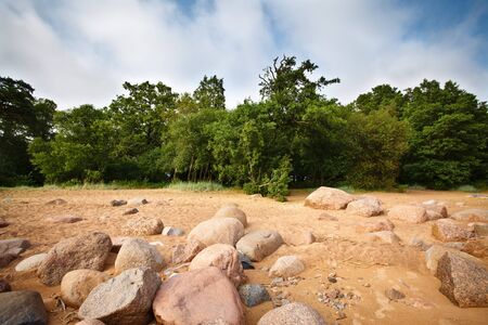 desolate beach under blue at summer dayの写真素材