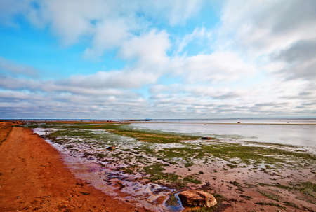desolate beach under blue at summer dayの写真素材