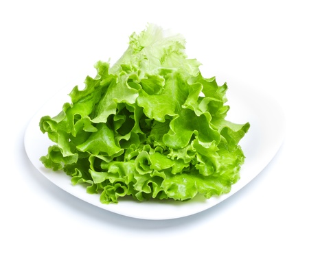 fresh green lettuce leaves on white dish isolatedの写真素材