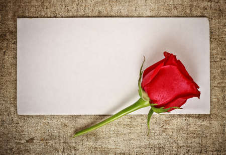 red rose on old canvas and blank envelope, templateの写真素材
