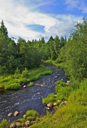 rough river in forest at summer dayの写真素材