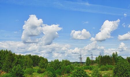 rural summer landscape with forest and blue skyの写真素材