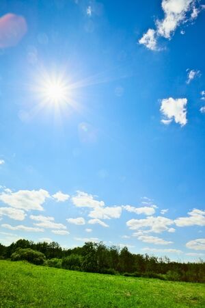 summer landscape with green field and sunの写真素材