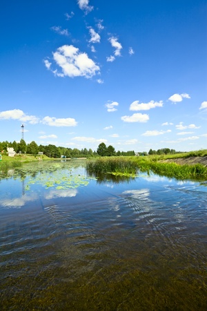 summer landscape with water lilies on lakeの写真素材