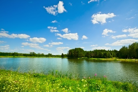 summer landscape with lake and yellow flowersの写真素材