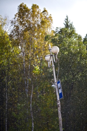 strong rain in summer day at parkの写真素材
