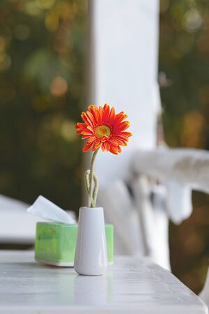 gerbera flower in vase on table in summer restaurantの写真素材