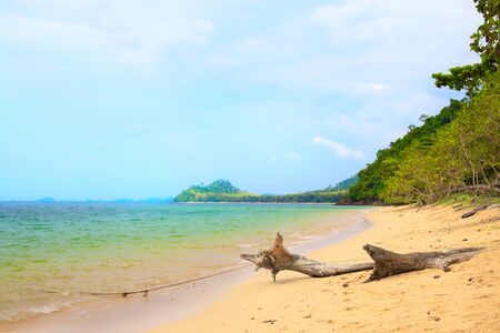 sunny beach, big snag and island on horizonの写真素材