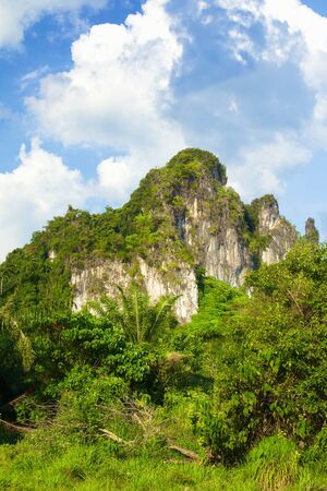 mountains with green trees in Krabi, Thailandの写真素材