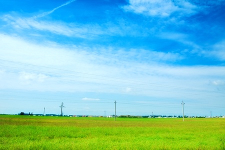 field of grass and perfect sky, Belarusの写真素材