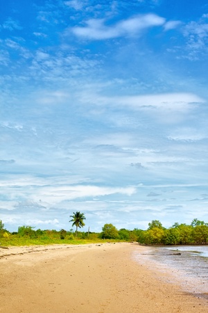 sand beach with palms, Andaman Sea, Thailandの写真素材