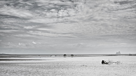 Koh Libong shelf at ebb, Andaman Sea, Thailandの写真素材
