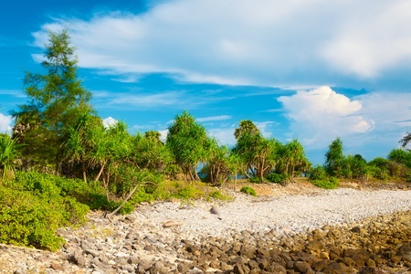 tropical beach with bushes, Andaman Sea, Thailandの写真素材