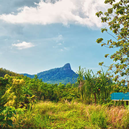 great mountain with green trees in Thailandの写真素材