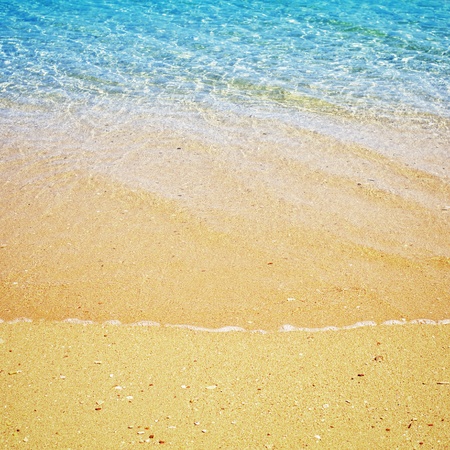 beach and tropical sea at sunny dayの写真素材