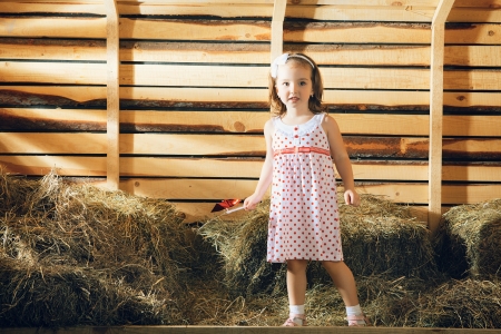 beautiful small girl on hayloft at sunny dayの写真素材