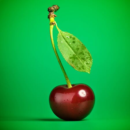 fresh red cherry with stem on green backgroundの写真素材