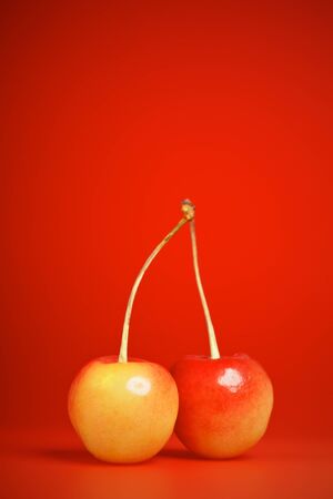 fresh pink cherries with stem on red backgroundの写真素材
